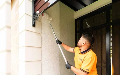 wall-painters-1536x768